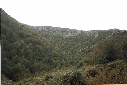 Xerra Peña Collada (vista del fayéu a los pies de la Xerra de Sobia)