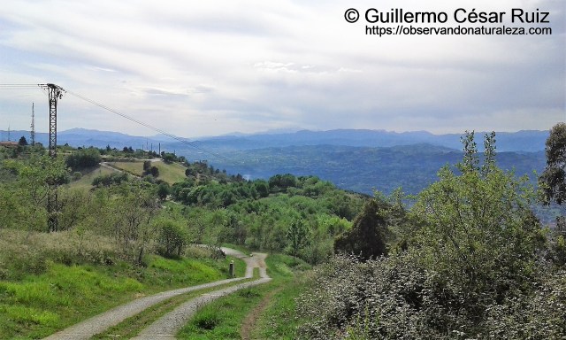 Antenas de radiocomunicación y tendidos eléctricos cruzan de forma incontrolada el Naranco