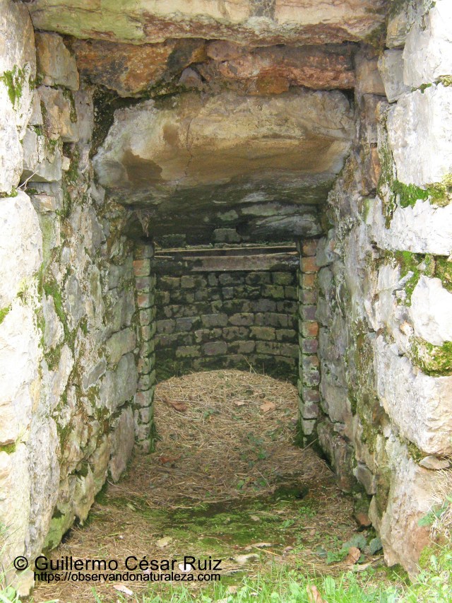 Calero de Muslera, interior