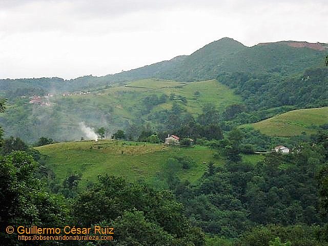 Cara norte del Naranco en el 2005 desde el Monte La Meredal, con vistas a Guindalorio, Lladines y Cantu Los Corralones o Navalones con Folgueres al fondo.
