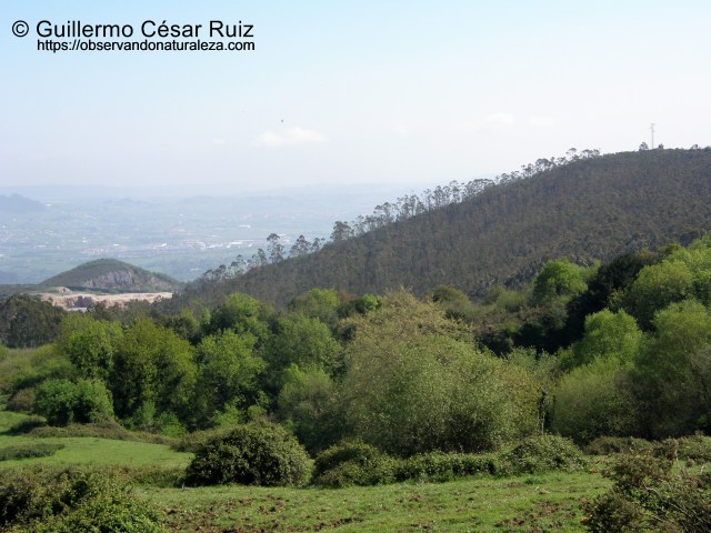 El Pebidal, avance cantera Arcelor-Mittal S.A. Al fondo Picu'l Castiellu