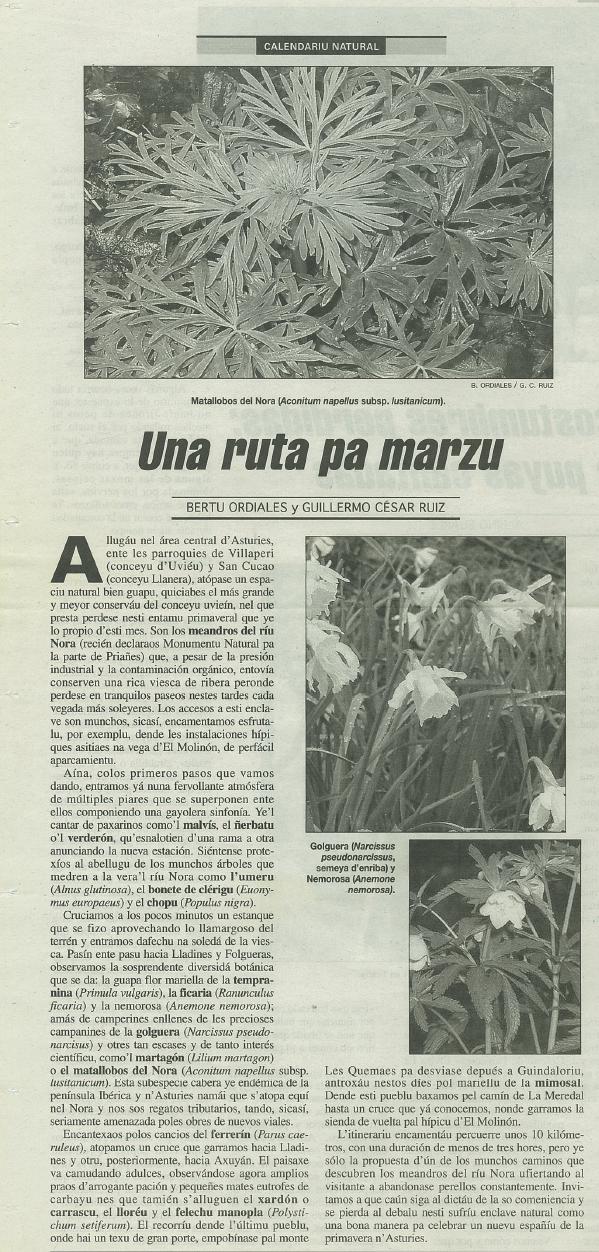 “Rutes per la Naturaleza asturiana” (2003-2004-2005), serie de artículos escritos en asturiano para Carlos Lastra López en su sección “Calendario Natural” correspondiente al suplemento semanal “La Nueva Quintana” publicada por el periódico “La Nueva España”. Este en concretó concerniente al entorno del Naranco apareció el martes 25 de marzo de 2003: Una ruta pa marzu. Meandros del ríu Nora.