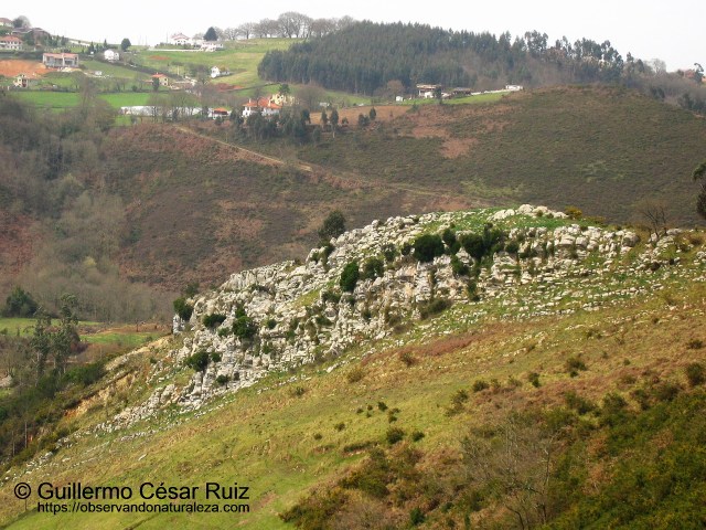 Afloramiento calizo de la formación Moniello en contacto con el Complejo de Rañeces en Rodiella, Naranco, Uviéu/Oviedo