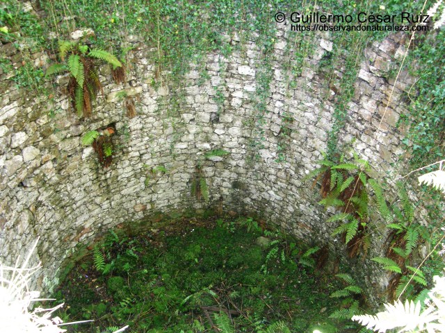 Pozo de la nieve El Pevidal