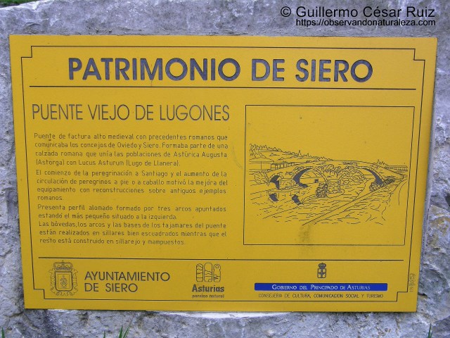 Senda transversal Naranco-Nora. Placa informativa Ponte Vieyu/Puente Vieyu, Llugones/Lugones