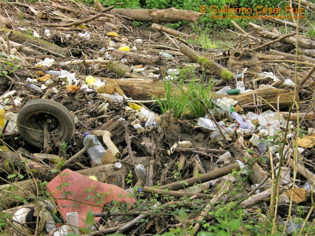 Vertidos ilegales junto al río Nora, proximo al Monumento Prerrománico San Pedro de Nora