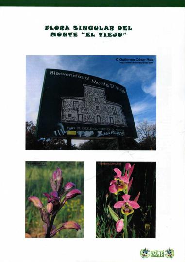 LA RUTA NATURAL, PALENCIA BOLETIN Nº 5 MONTE EL VIEJO